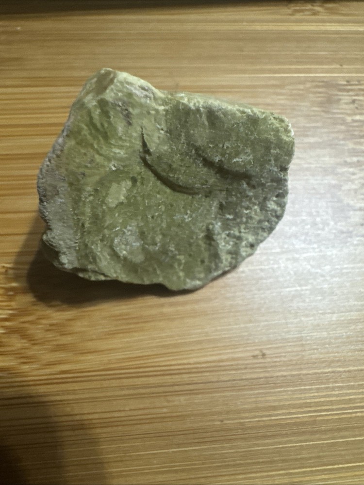 Serpentinite, a type of Metamorphic Rock