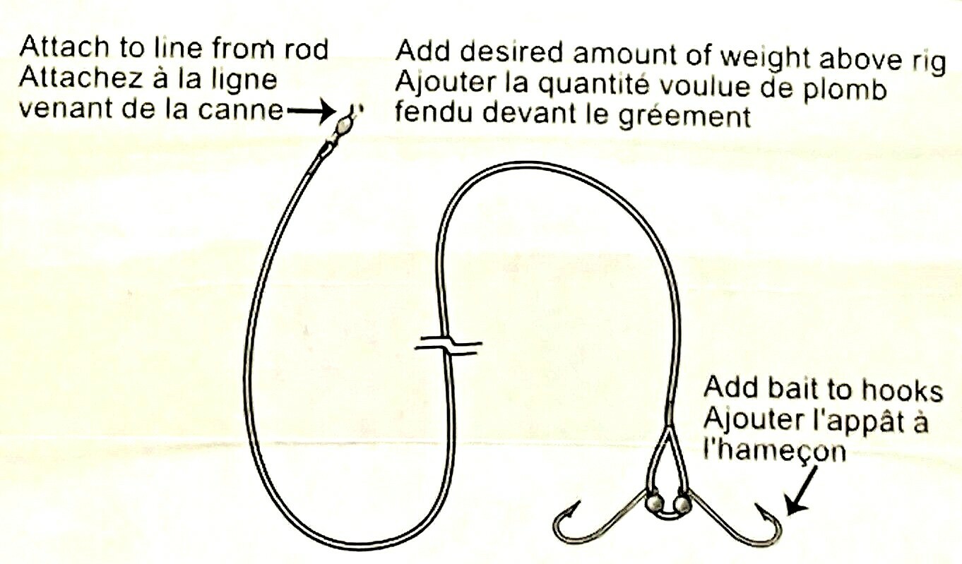South Bend 5 PACKS Sturgeon Rig Size 7/0 Two Hook 36" Wire Leader STRG-70