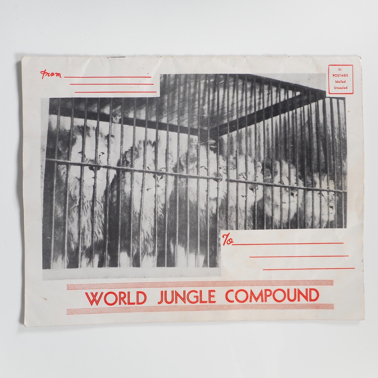 VTG 1953 Jungle Land World Compound Program Mabel Stark CA MGM Circus Lions RARE