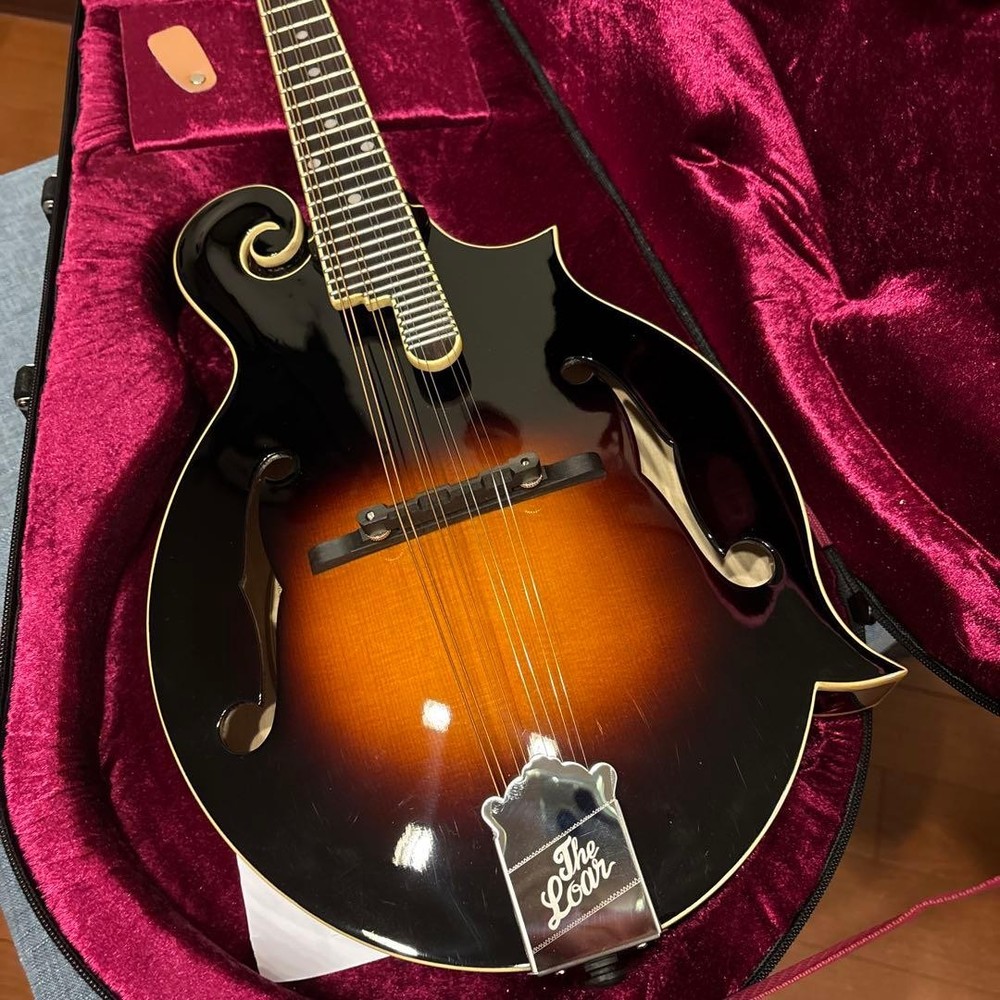 LOAR LM-520-VS flat mandolin