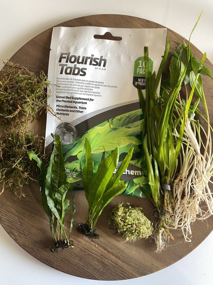 Sand Substrate Deluxe Live Aquatic Plants Pack + 10 Root Fertilizer Tablets