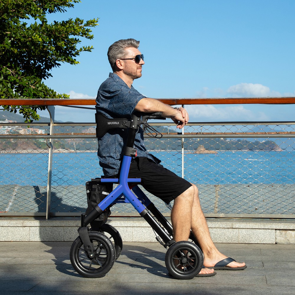 Rollator Rolling Walker w/ Seat for Senior 12" Rubber Wheel Adjustment Foldable