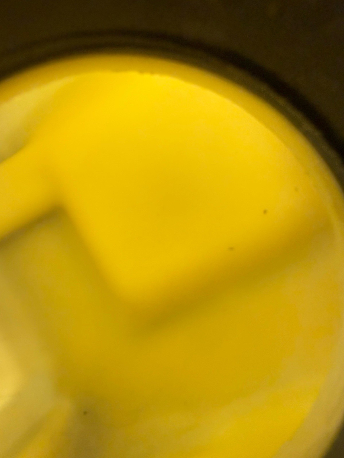 1989 Polaris Trail Boss 250 OEM Fuel Tank Assembly 5430968