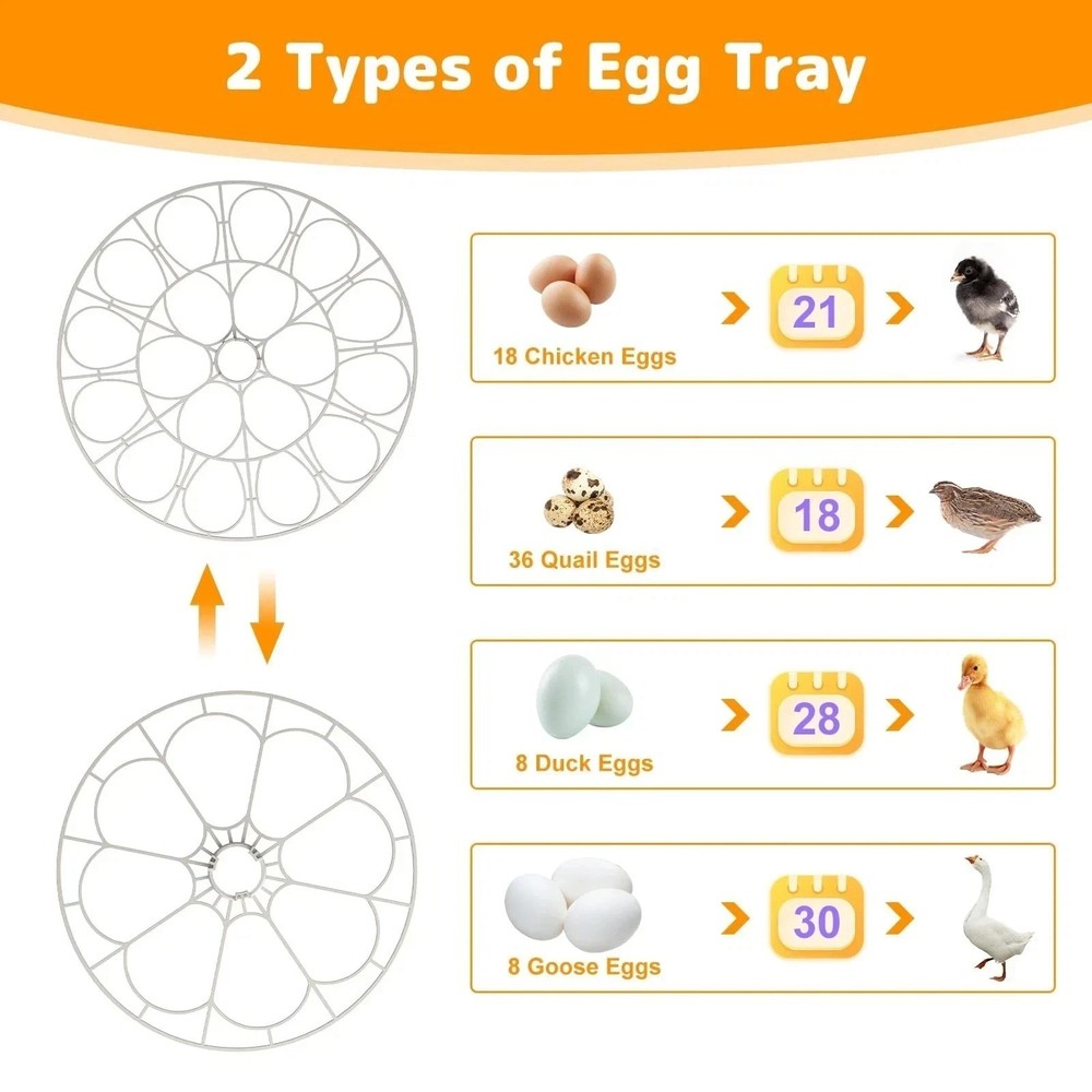 Incubators for Hatching Eggs,18 Egg Incubator with Automatic Egg Turning