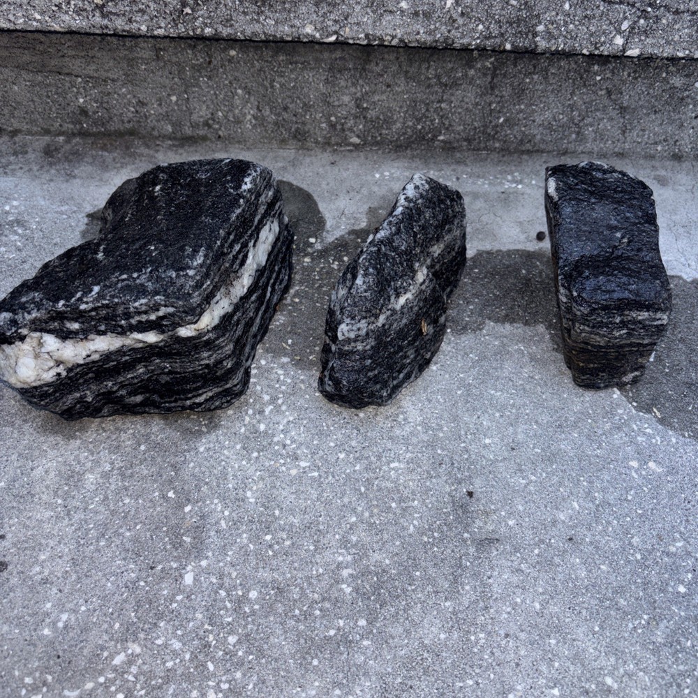 Gneiss Excellent Examples