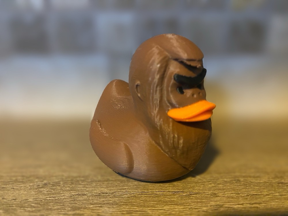 Big Foot Duck
