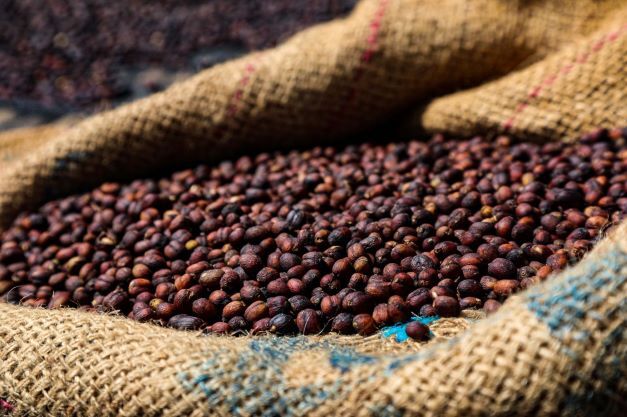 Peru Single Origin Coffee | Organic | Medium Roast | Fresh Roasted