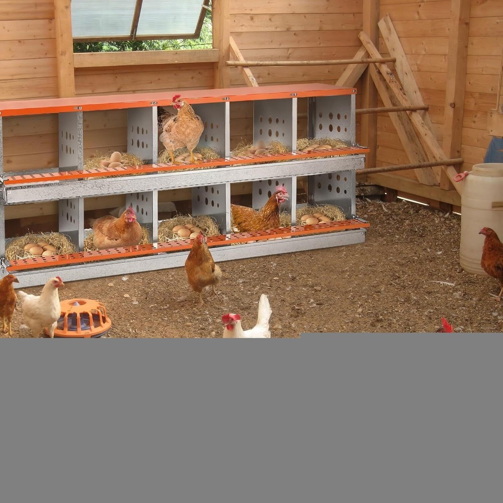 Chicken Nesting Box 10 Holes Metal Poultry Brooding Box Automatic Egg Rollout