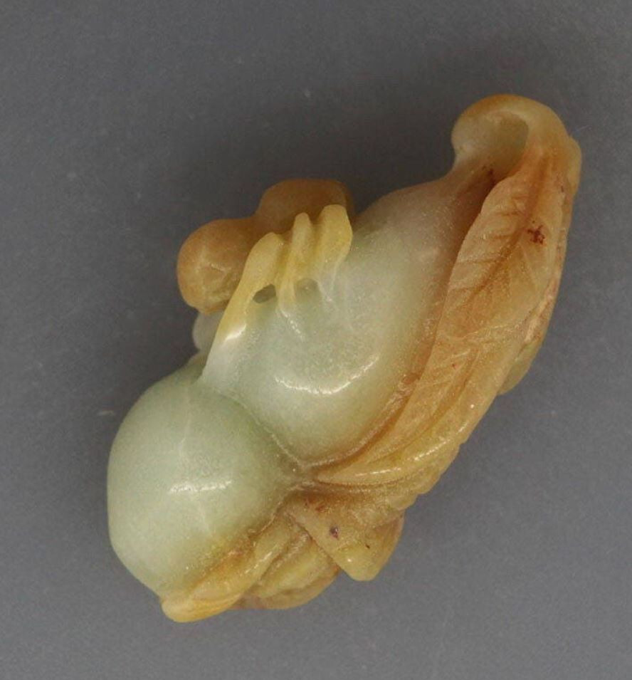 SPIDER on Plant NATURAL AGATE PENDANT