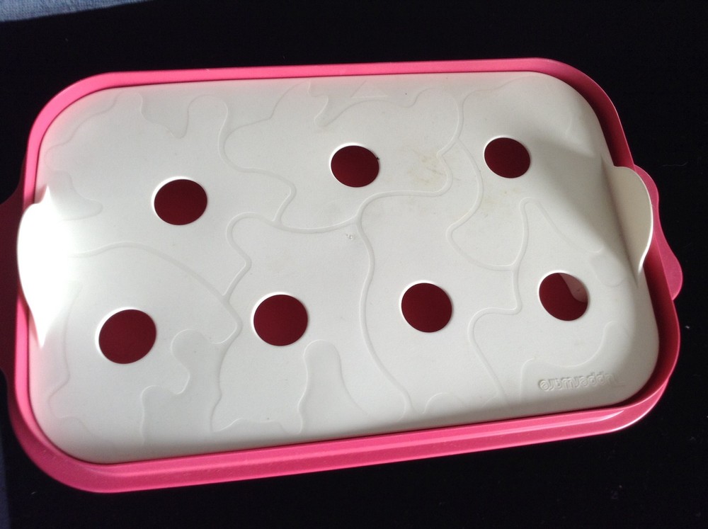Tupperware Mold / Cutter