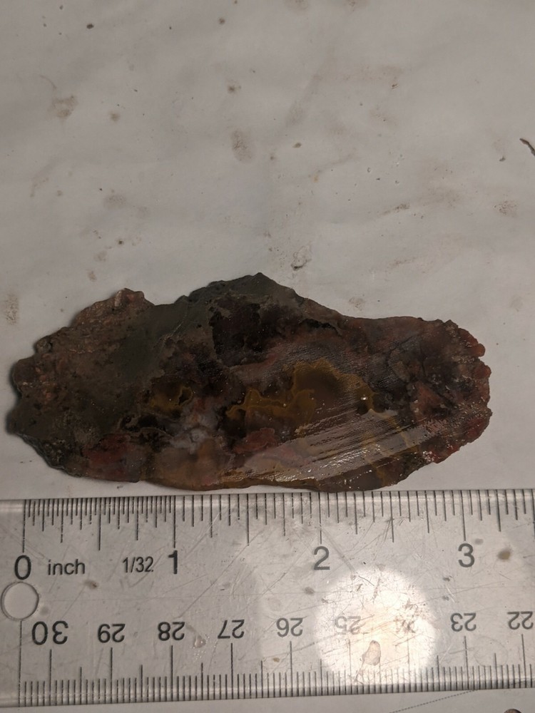 Awesome Orange Red Kentucky Agate Slab Slice