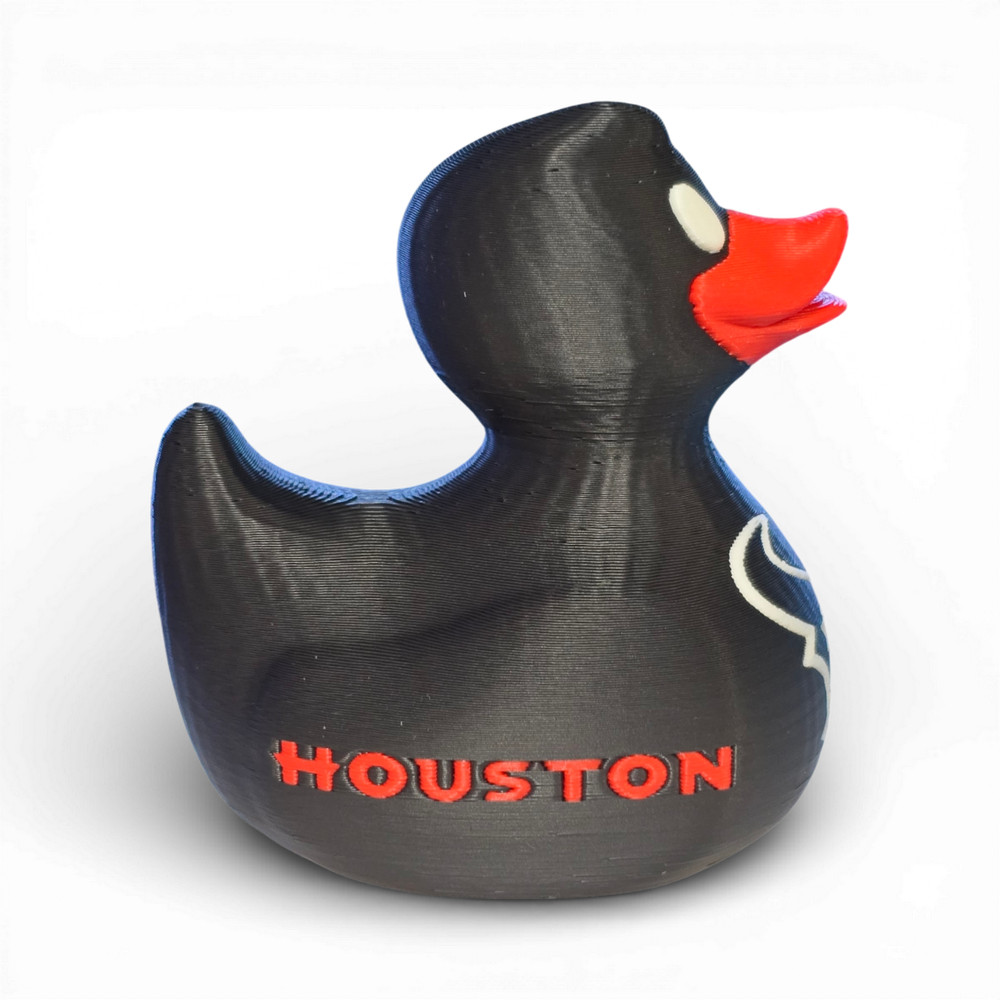 Houston Texans Duck
