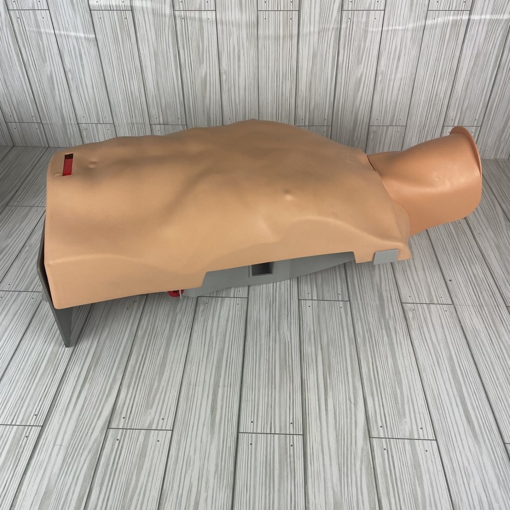 Ambu training CPR Multiman manikin With Hygienic System-TED