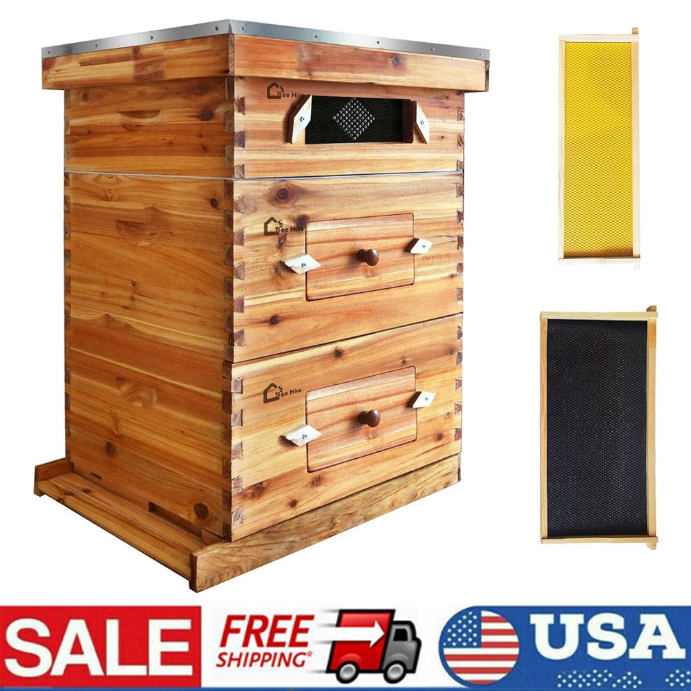 10 Frames Beehive Complete Box Kit (2 Deep 1 Medium Box) Langstroth Beekeeping