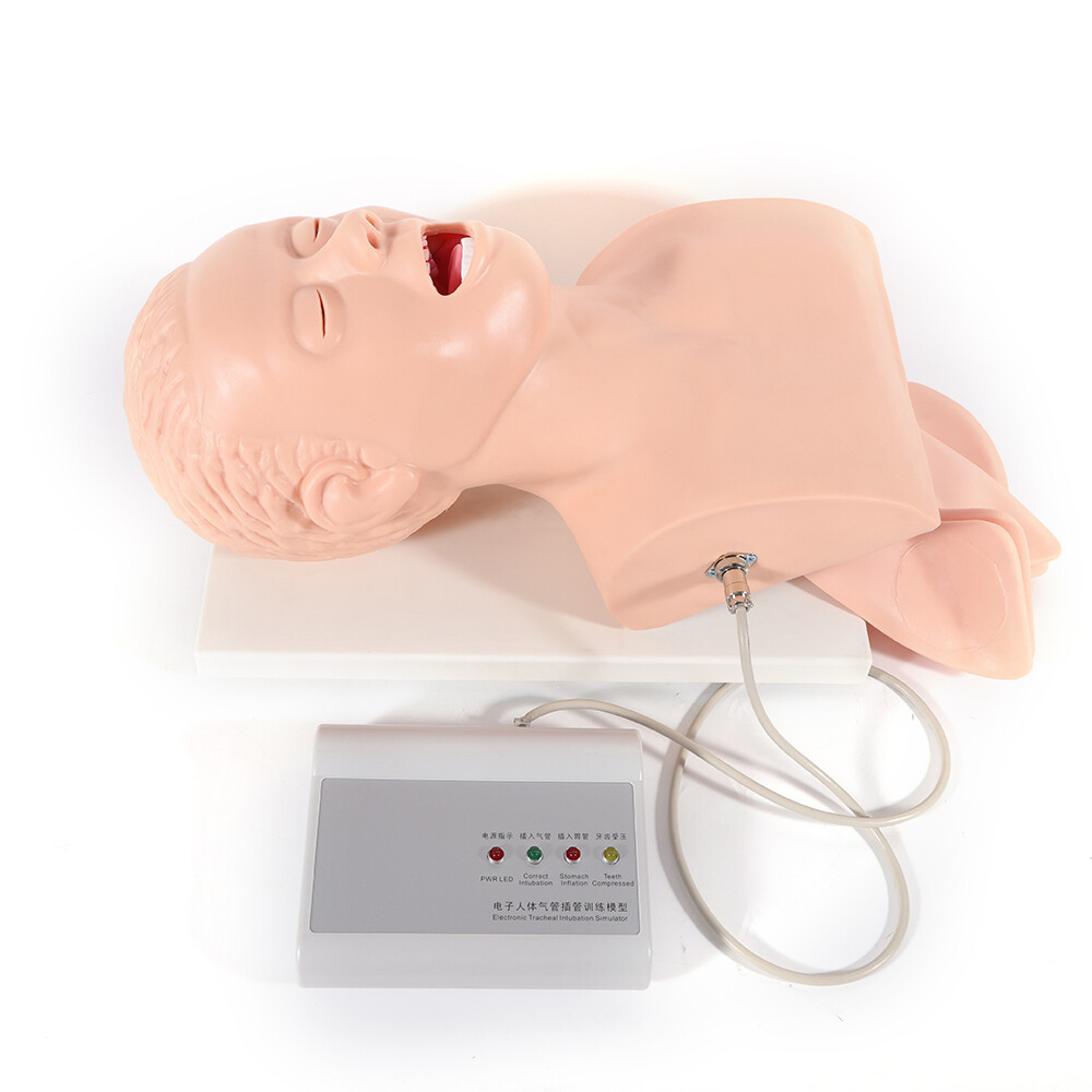 Intubation Manikin Study Teaching Simulator Airway Management Trainer Tool Model