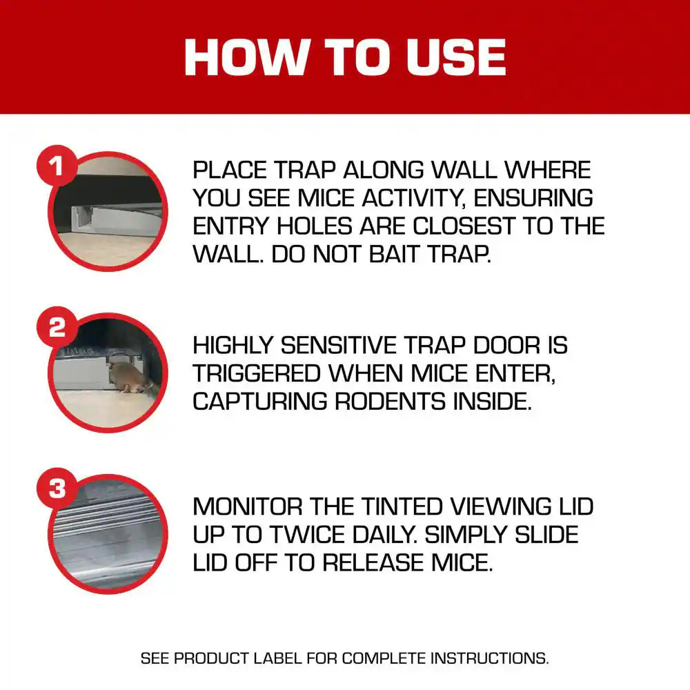 Multi-Catch Mouse Trap