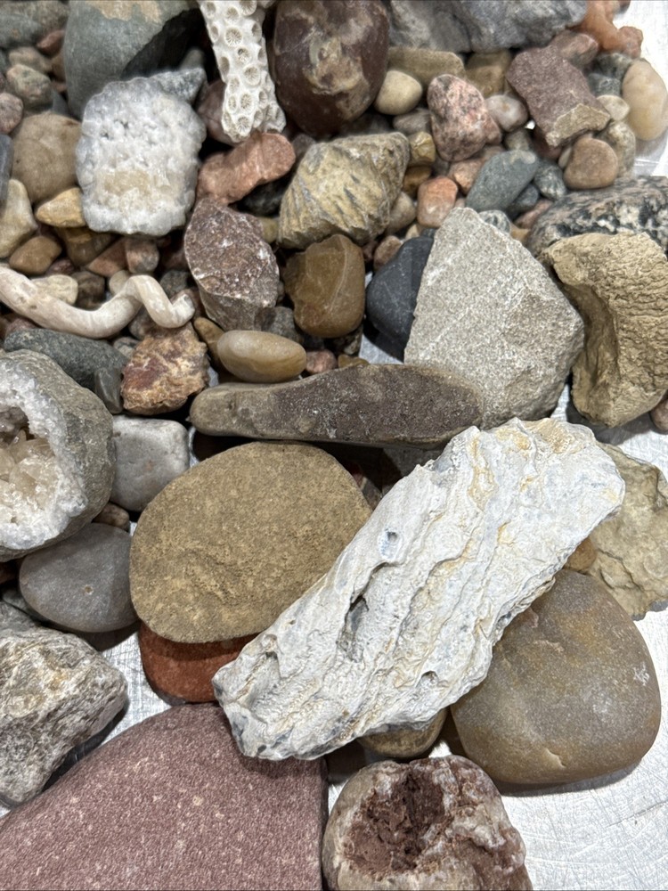 Collectable Rocks & Corral