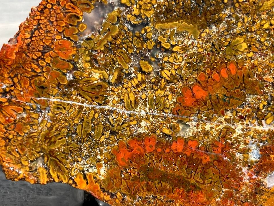 East Java Plume Agate - Indonesia 3.75"x3" High Grade Lapidary Rough Slab