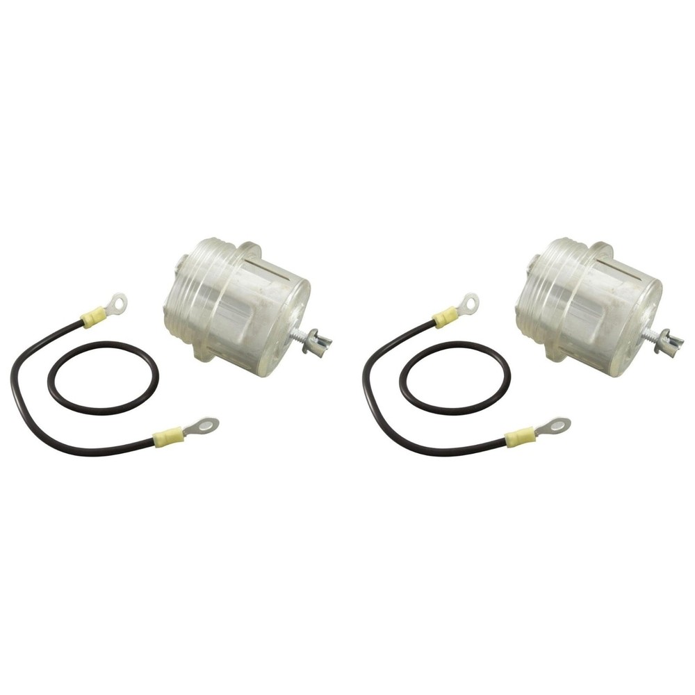 Raypak 017960F Protek Shield Assembly (2 Pack)