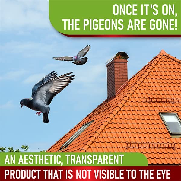 kit for Pigeon & Bird Control - Bird Trainer Solution for Keeping Birds Away ...