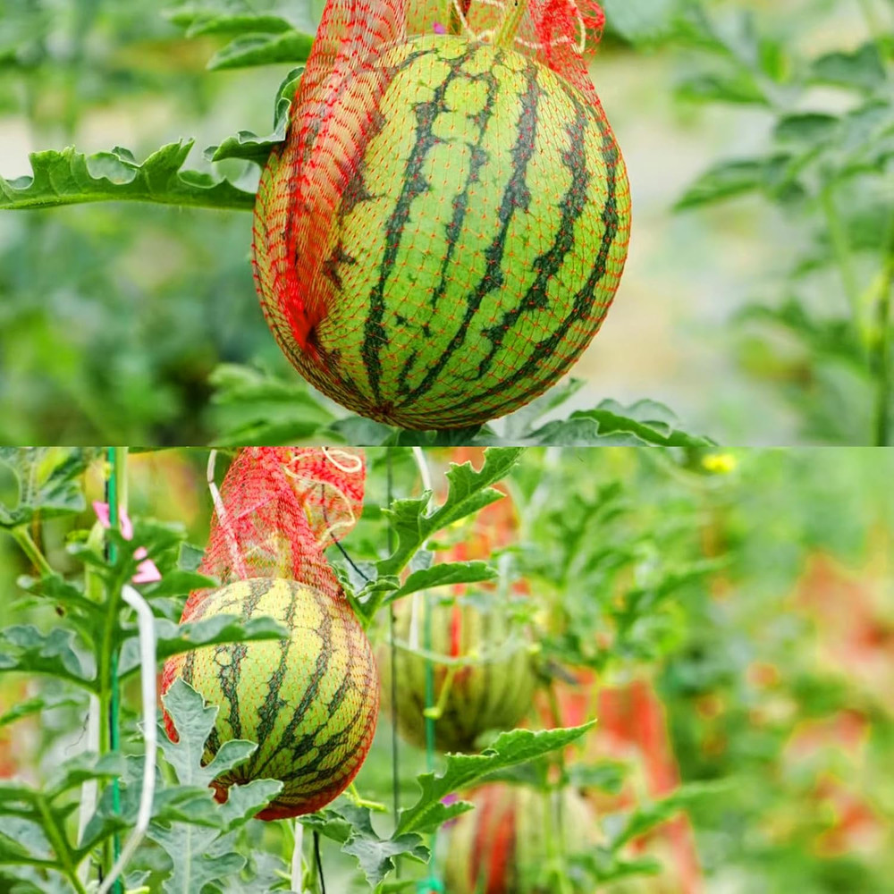 50 Pack Watermelon Nets,Hanging Watermelon Support Nets,Reusable Melon Hammocks