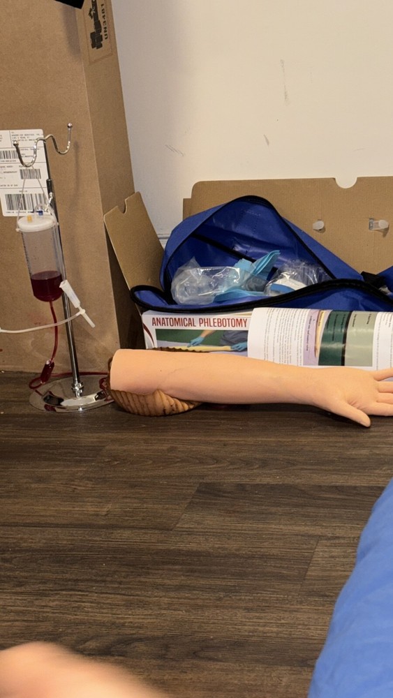 The Apprentice Doctor: Anatomical Phlebotomy Simulation Arm/ IV Practice Arm 