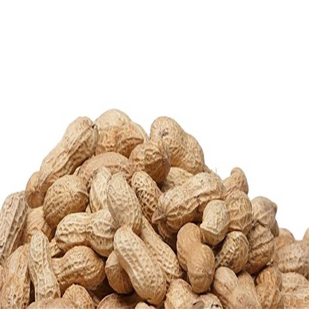 Cajun Peanuts In Shell 2 lbs