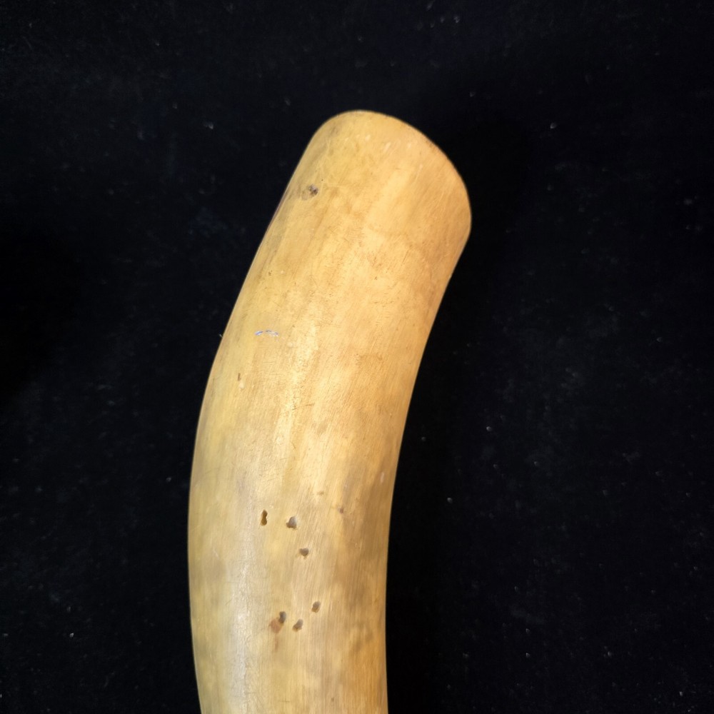 Antique Powder Horns