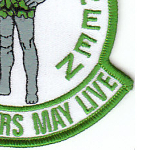 33rd Rescue Squadron Patch