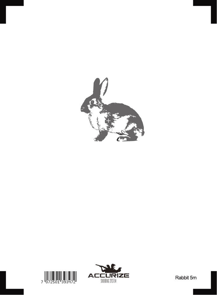 Front target for Accurize shooting system