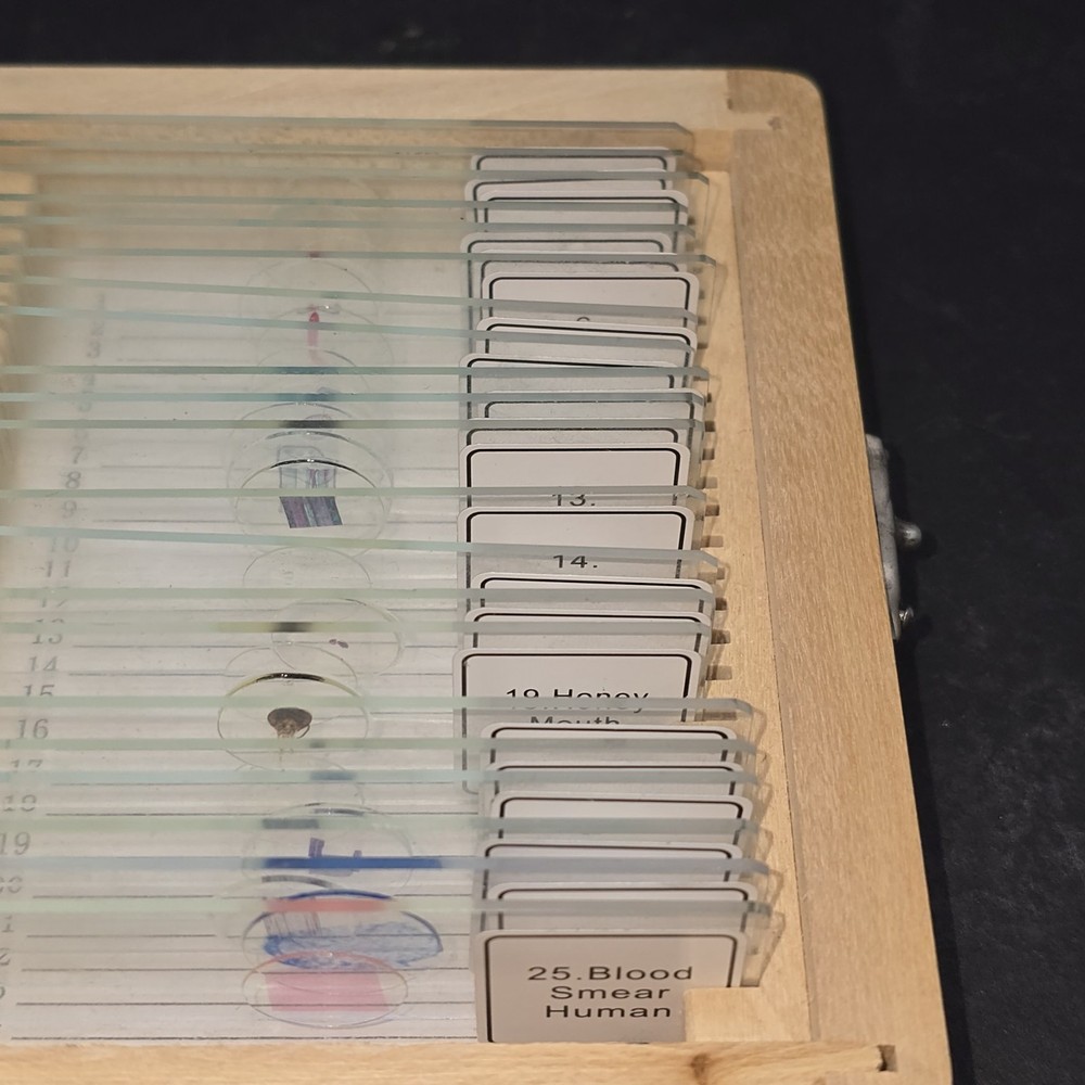 Celestron #44410 Prepared Slides 21 Count Science Microscope