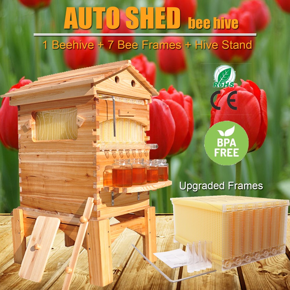 Auto Bee Hives Beekeeping Boxes Honey House + 7 x Beekeep Frames + HAVE STAND US