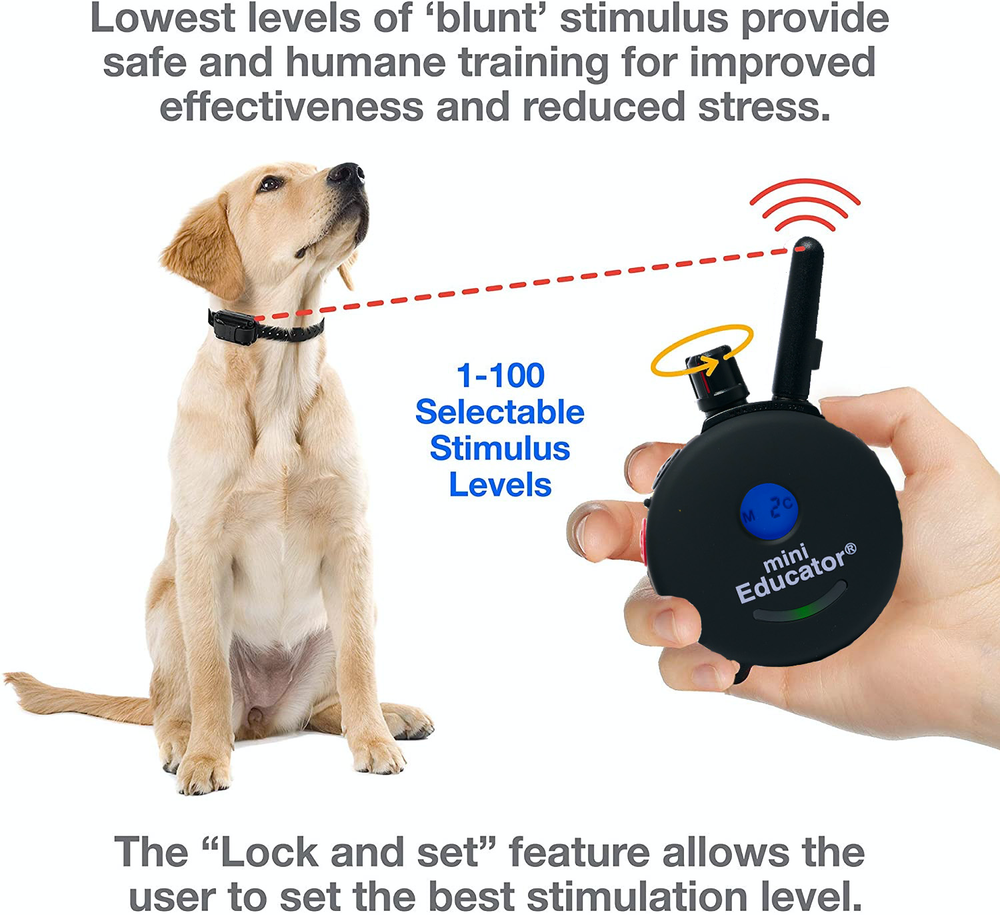 Mini Educator E-Collar Off Leash Dog Remote Training 1/2 Mile Range ET-300