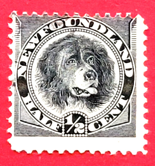 Canada Newfoundland 58 Newfoundland Dog MNG