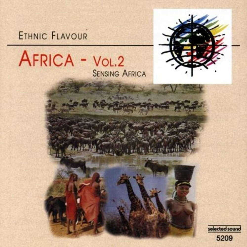 Ethnic Flavour Africa 2 (Audio CD)