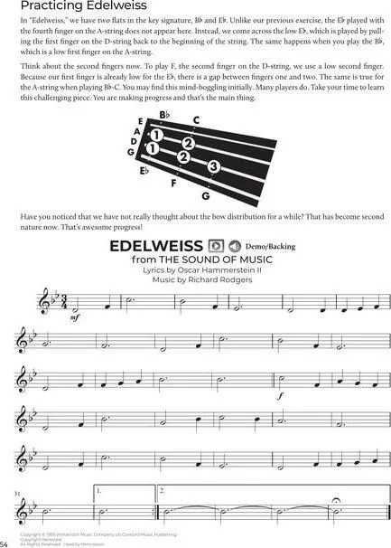 Do-It-Yourself Violin - The Best Step-by-Step Guide to Start Playing