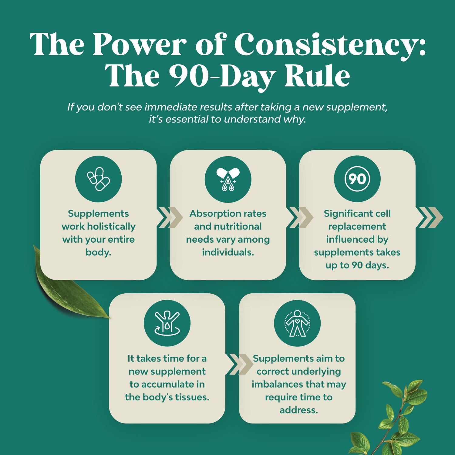 Oregano Oil Organic Liquid Drops for Adults and Kids - Super Concentrated USDA