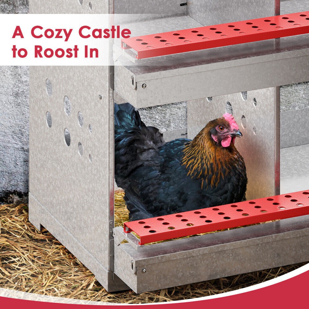 New 6Hole Chicken Nesting Boxes Metal Egg Laying Brooding Box With Vent Hole Set