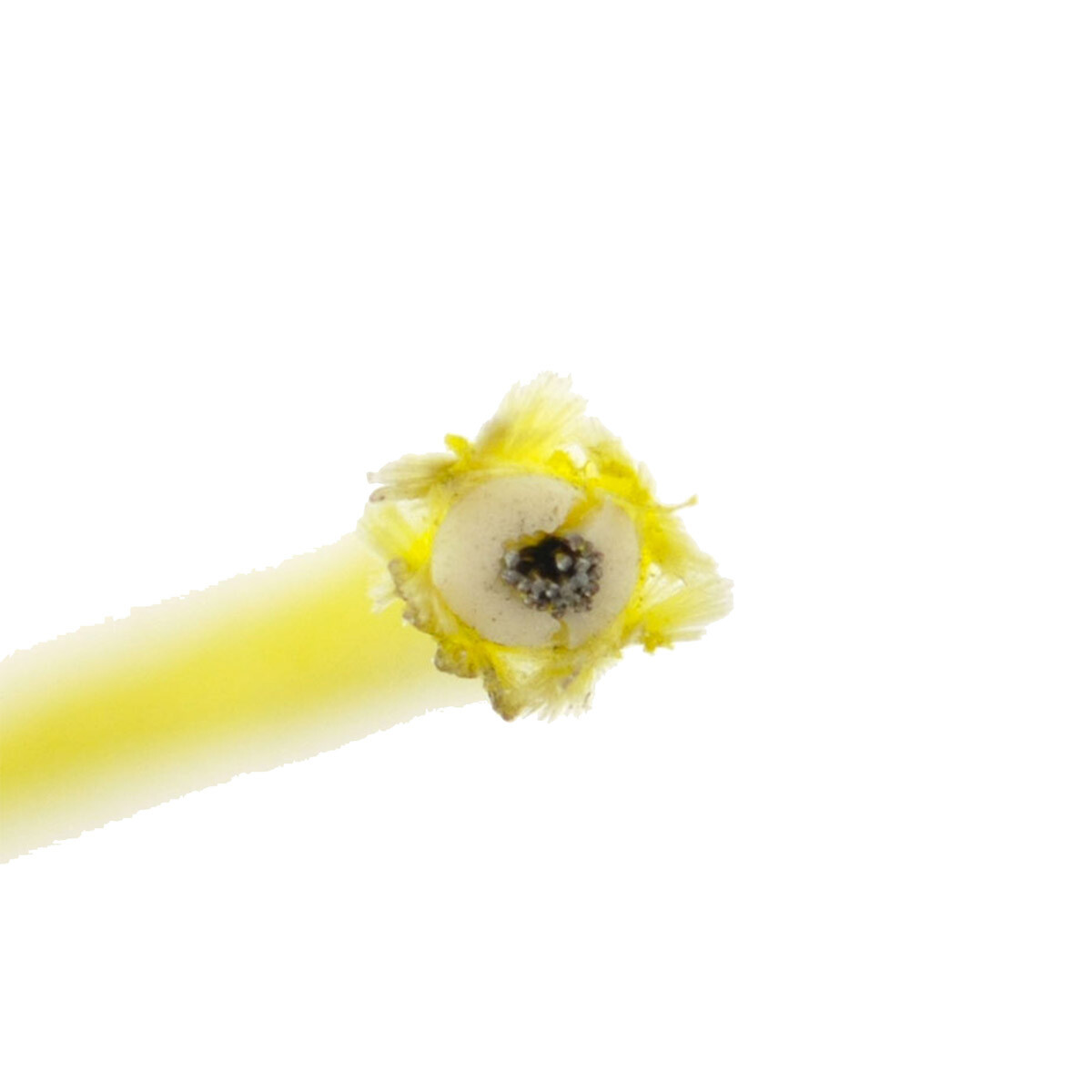 RMSTATOR Stator Ignition Source Coil For 1983-1985 Yamaha Tri Moto 200 YTM200