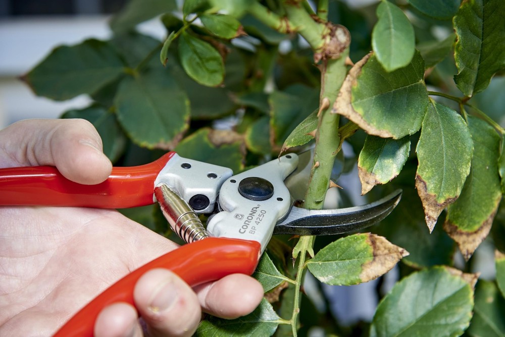 Tools Bypass Pruner – Forged Steel 1″ Capacity Hand Pruning Garden Shears wit...