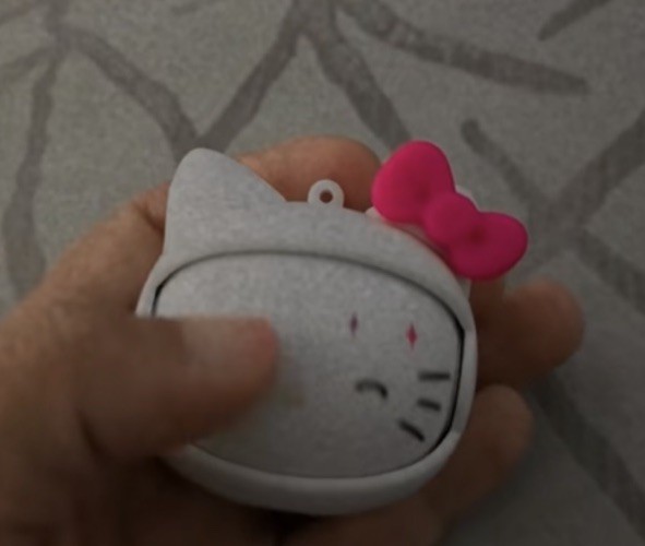 Wireless Earbuds with Rotating Charging Case