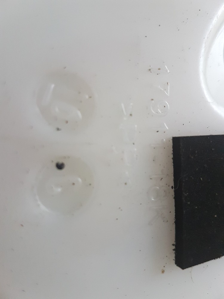 Suzuki SV 650 Coolant Bottle