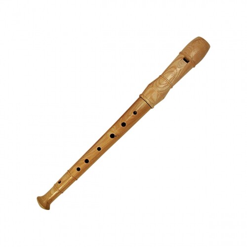 Large Recorder