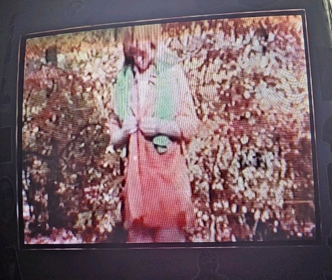 Toxic Zombies Vhs Video Nasty Horror 1980 AKA Blood Eaters Red Redneck Zombies