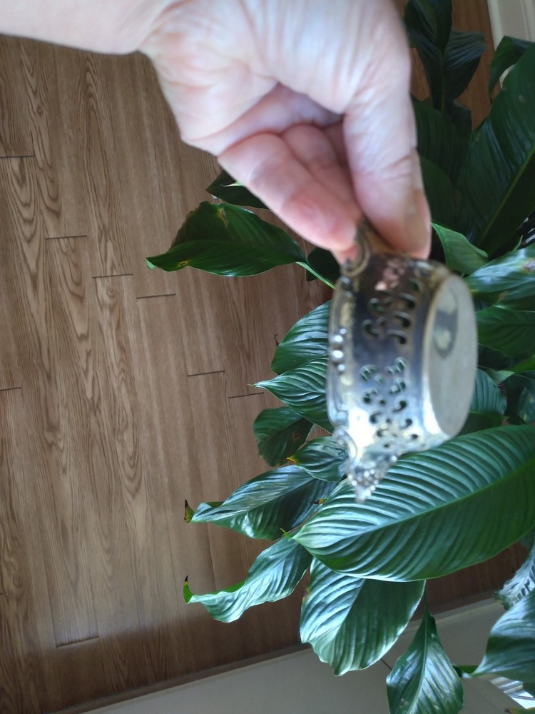 Gorham Sterling Silver Pattern 4780 1900-1940 .925