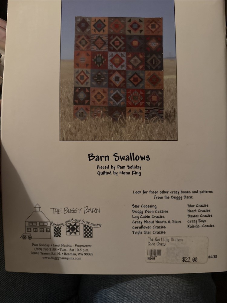 Gone Crazy (Buggy Barn #400), Pam Soliday,Janet Nesbitt