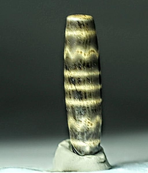 Pre-1800sbTibetan Opalized Petrified Palmwood 5 Line Water Wave Pum Dzi Bead