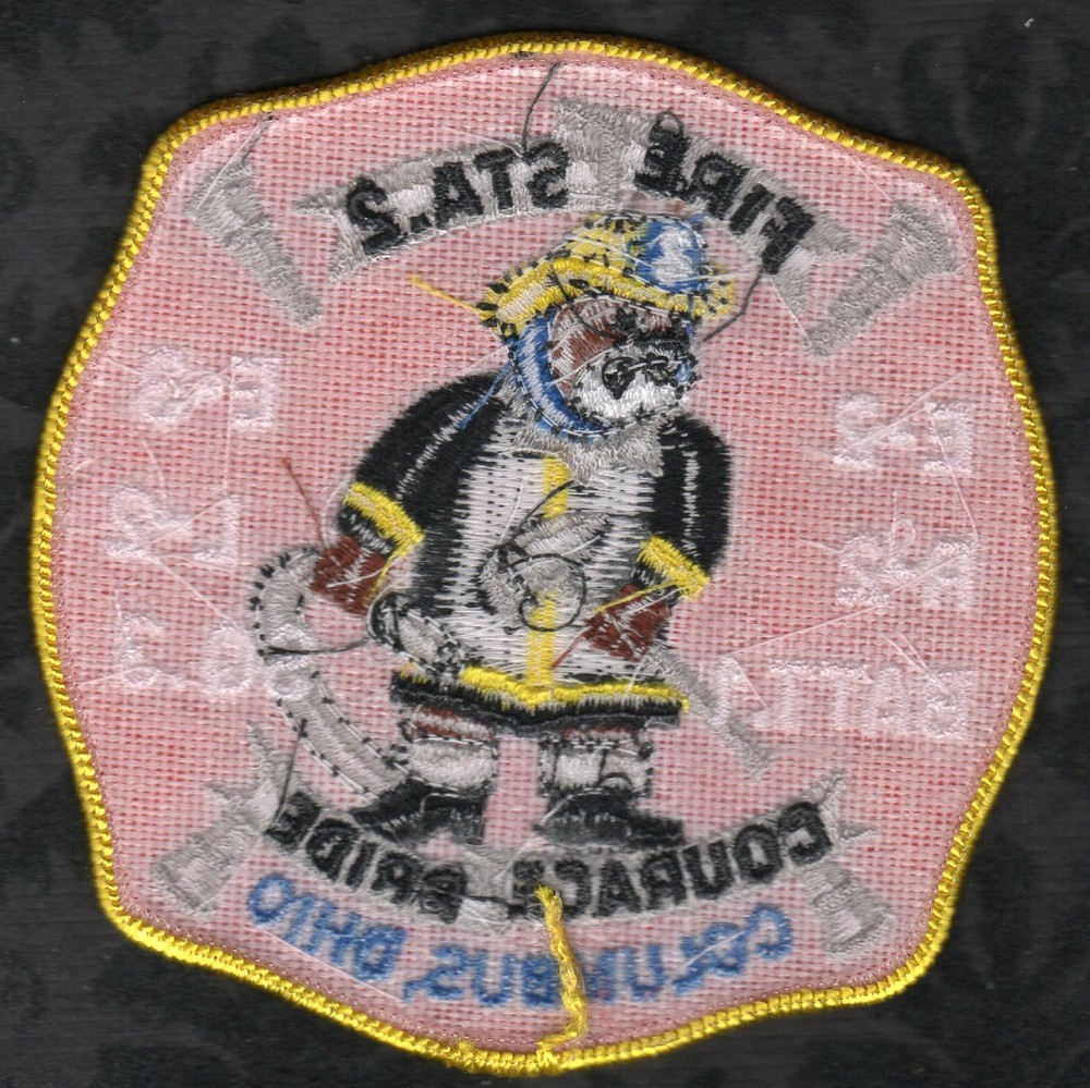 👀😍👌 Columbus Ohio Fire Station 2 Patch E2 R2 Batt.1 E3 L2 Q3 Authentic
