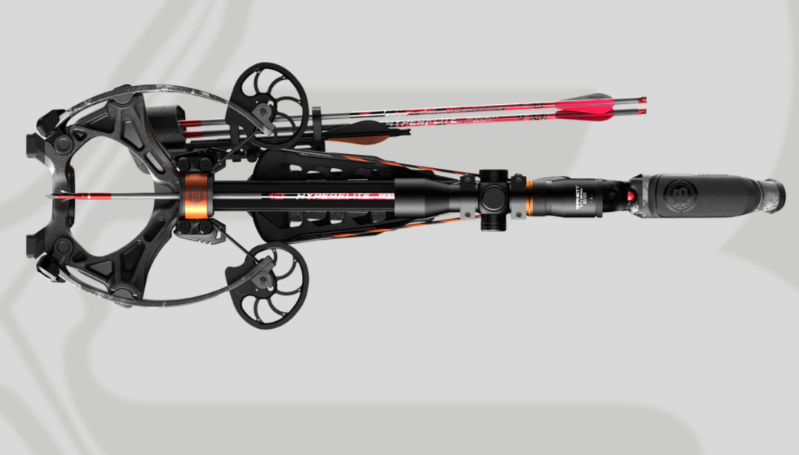 Barnett Hyper Raptor BCX PT