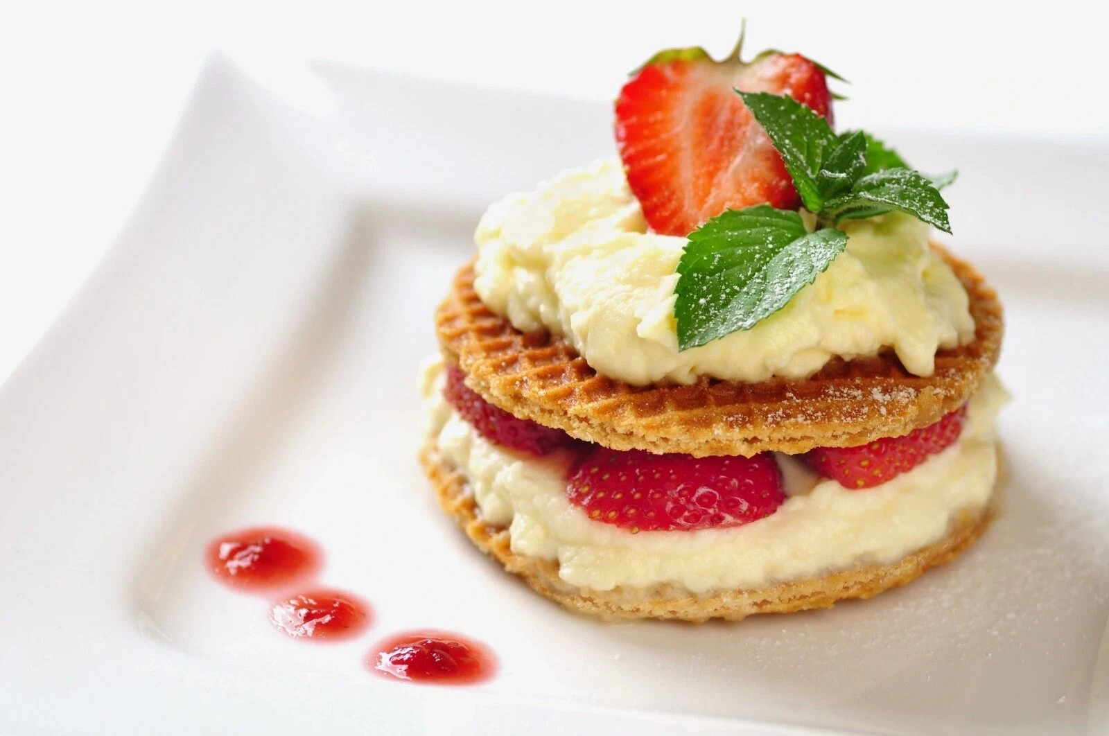 Stainless Steel Dispenser Professional Parts Kit for isi New Whip Cream Whipped